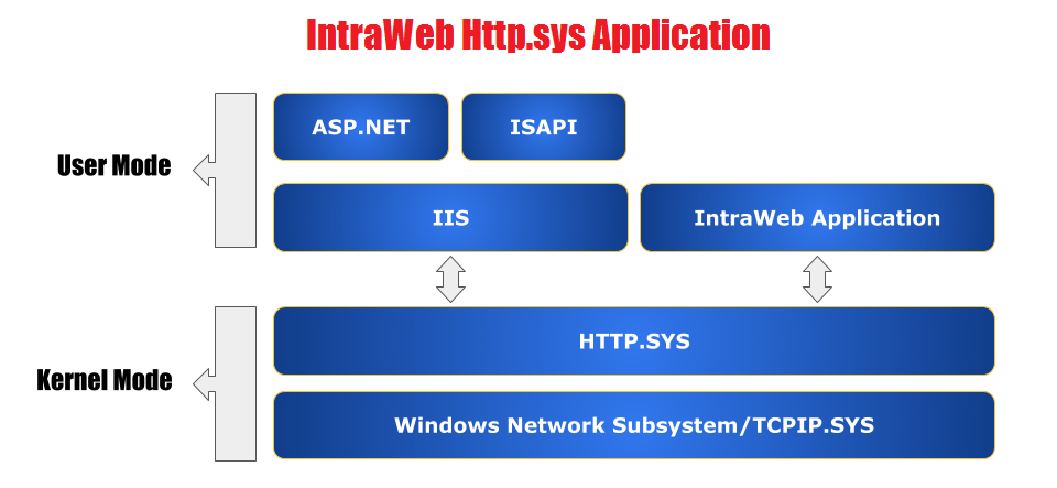 intraweb application wizard